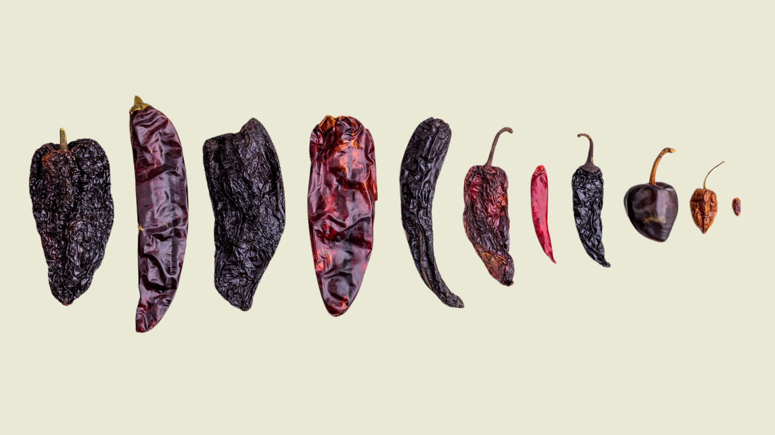 Chillies - banner image