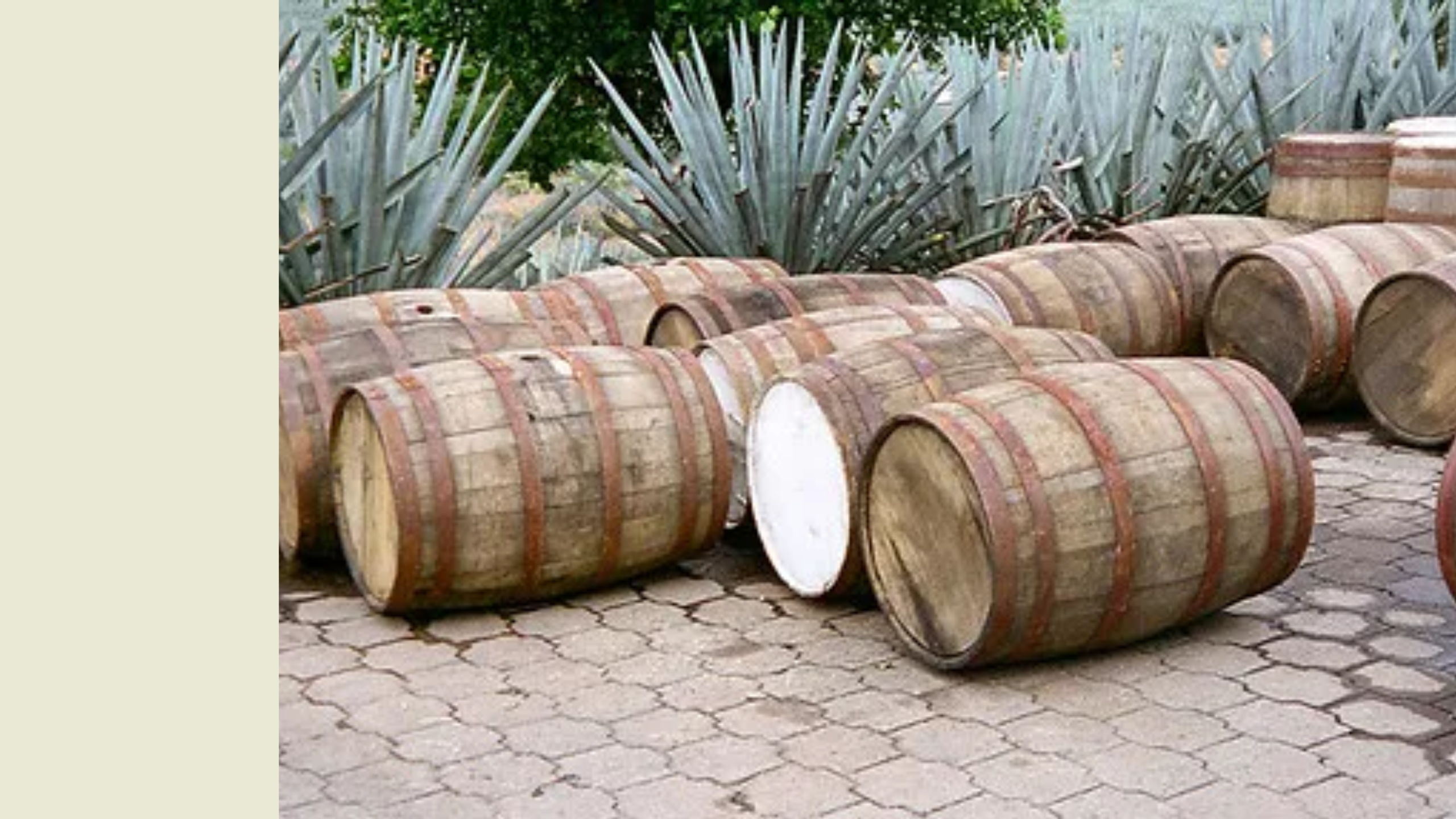 Tequila - Reposado - banner image