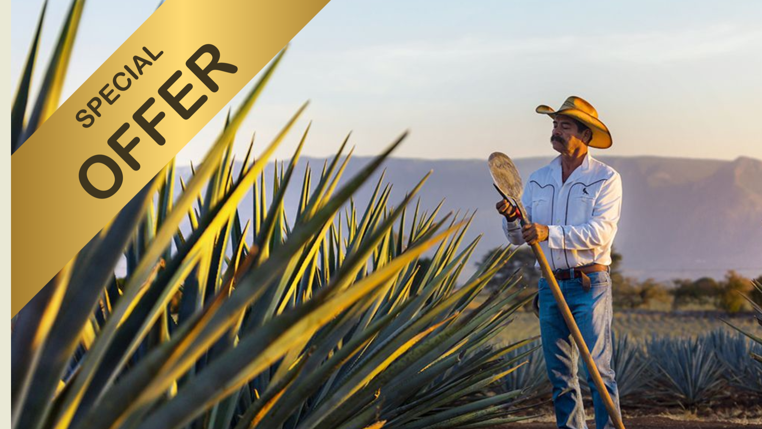 Agave Spirit OFFERS - banner image