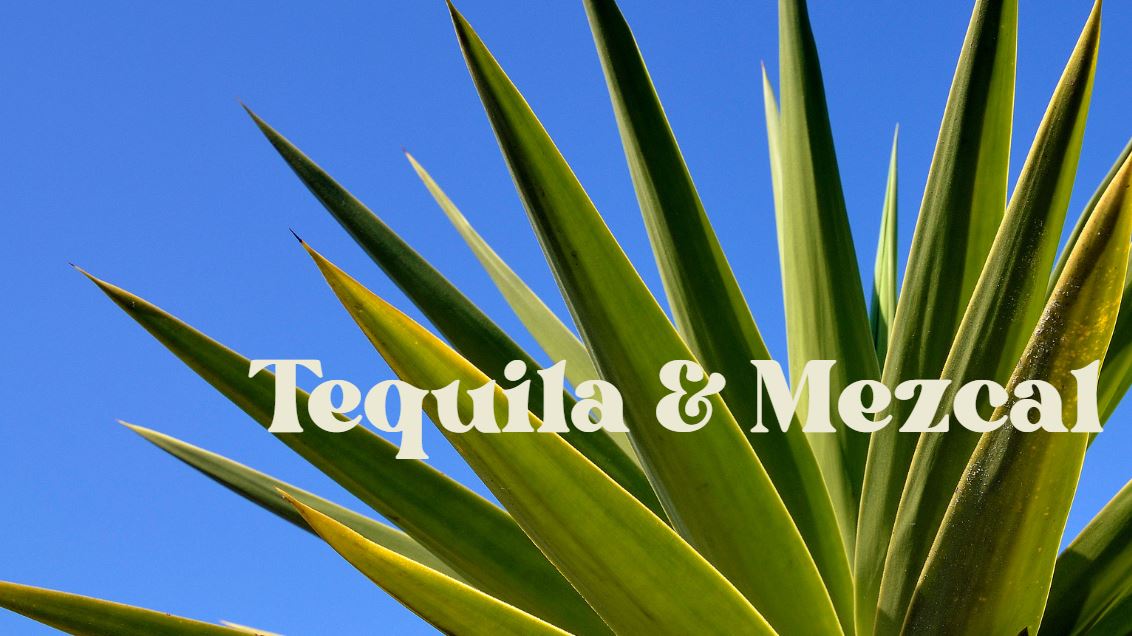 Mexican Agave Spirits - banner image